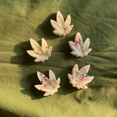 NIrvana (set of 5) - Kala Curry