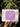 Purple Journaling Kit - Kala Curry