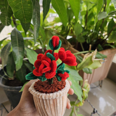 Rose flower pot