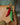 The Mango House Chillies Crochet Bag Charm