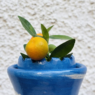 Tideform Vase - Kala Curry