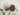 Uzma (Set of 6) - Kala Curry Creative LLP