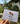 Valentine's Sunflower & Rose Postcard - Kala Curry