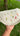 Wildflower Bag - Kala Curry