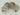 Zayn (Set of 4) - Kala Curry Creative LLP